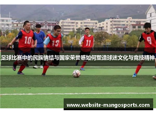 足球比赛中的民族情结与国家荣誉感如何塑造球迷文化与竞技精神