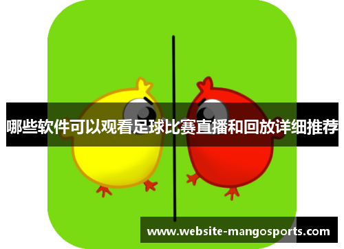 哪些软件可以观看足球比赛直播和回放详细推荐