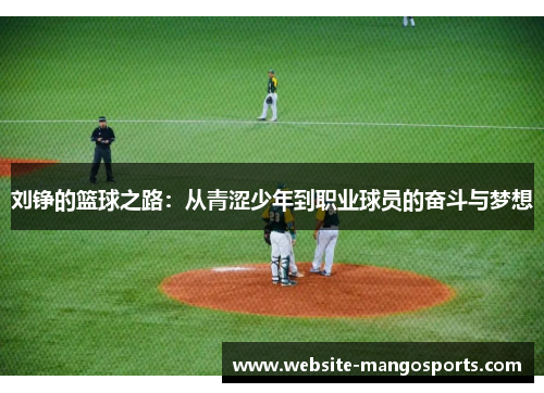 刘铮的篮球之路：从青涩少年到职业球员的奋斗与梦想